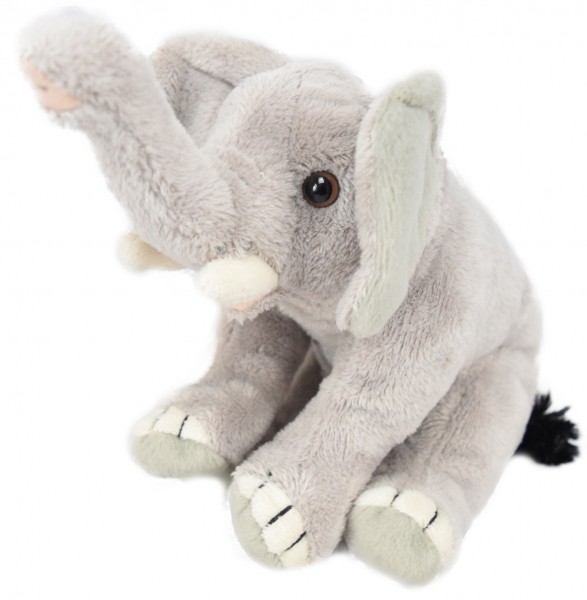 M31 Hathi - der kleine Elefant - nur online