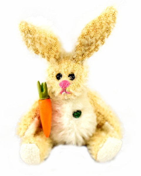 Hasi mit Karotte