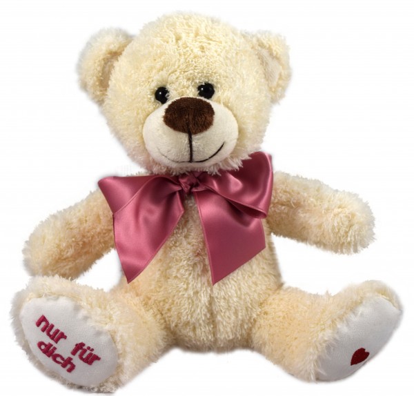 Wünsche-Teddy "nur für Dich"