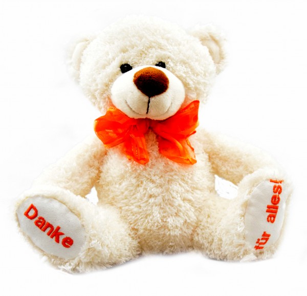 Wünsche-Teddy "Danke für Alles"